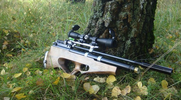 Как правильно выбрать пневматическую винтовку для охоты