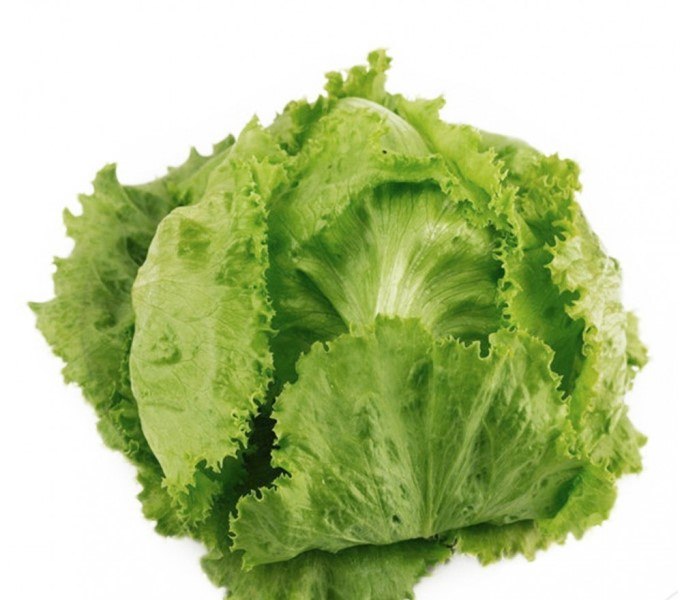 Как правильно вырастить салат айсберг на своем участке?