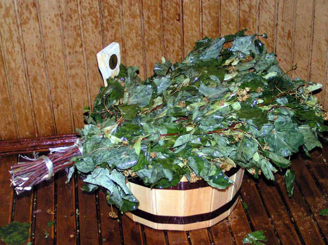 Как правильно запарить березовый веник для бани: запаривание, как замачивать банный веник, как заварить, фото и видео – всё о банях