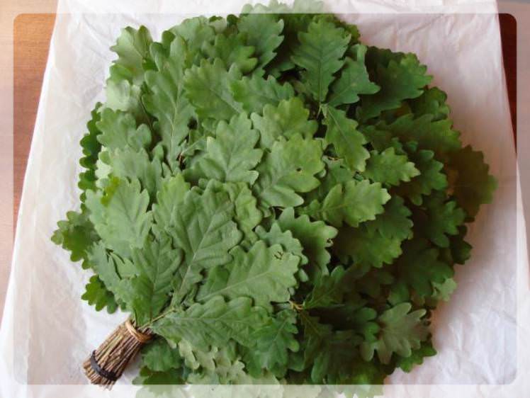 Как правильно запарить березовый веник для бани: запаривание, как замачивать банный веник, как заварить, фото и видео – всё о банях