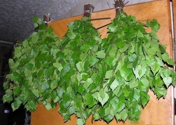 Как правильно запарить березовый веник для бани: запаривание, как замачивать банный веник, как заварить, фото и видео – всё о банях