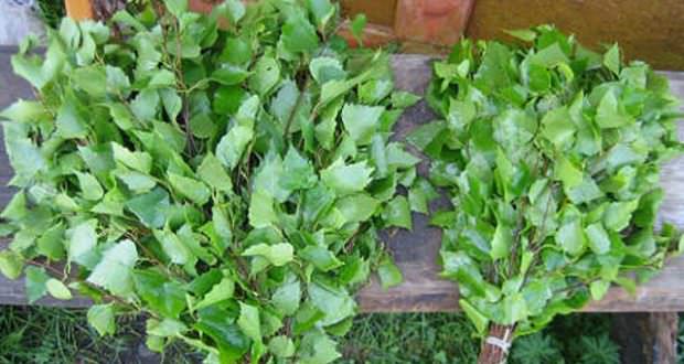 Как правильно запарить березовый веник для бани: запаривание, как замачивать банный веник, как заварить, фото и видео – всё о банях