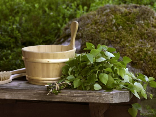 Как правильно запаривать веник для бани из разных пород – всё о банях