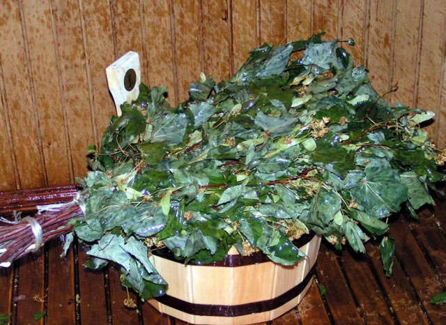 Как правильно запаривать веники для бани: как запарить дубовый веник или из других веток, как правильно замочить веник из дуба, как замачивать – всё о банях