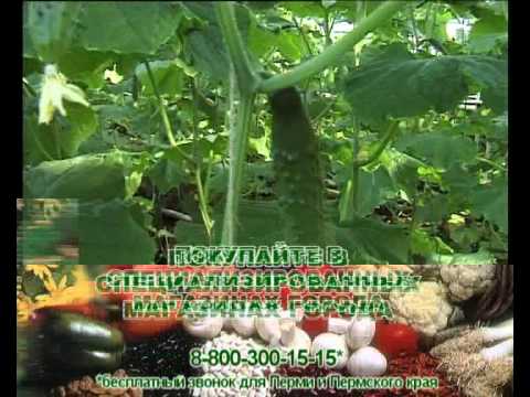 Как применять минеральный комплекс «парник»?