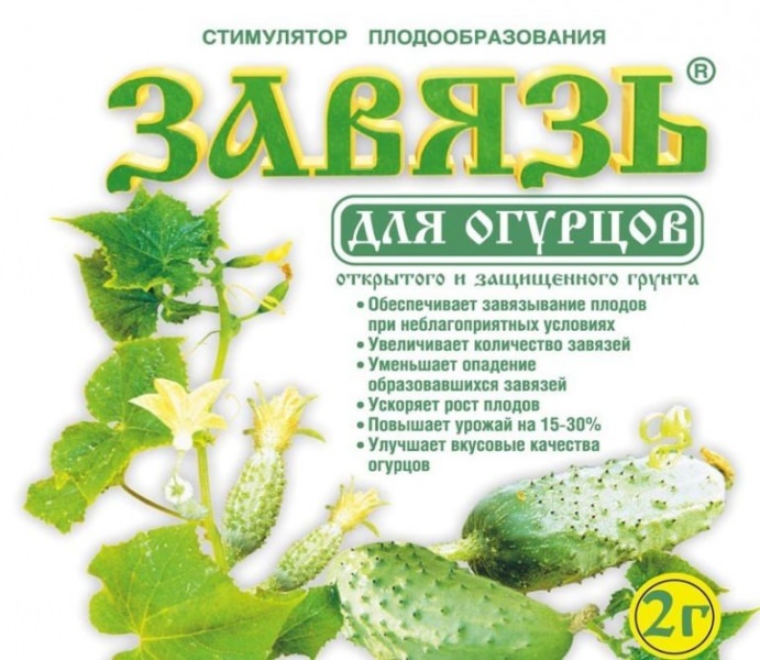 Как применять препарат завязь для огурцов