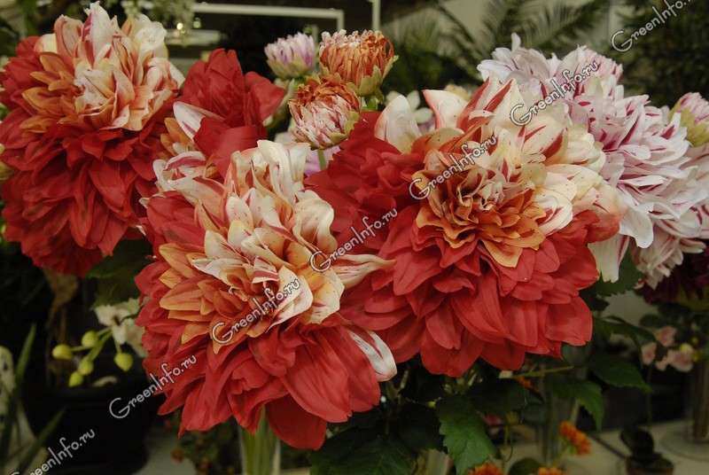 Как продлить жизнь желтых георгинов в вазе?