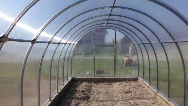 Как проводится обработка теплицы из поликарбоната весной?