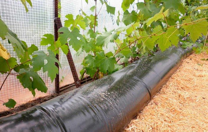 Как работает аккумулятор тепла для теплицы?