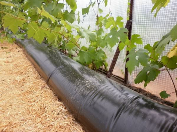 Как работает аккумулятор тепла для теплицы?