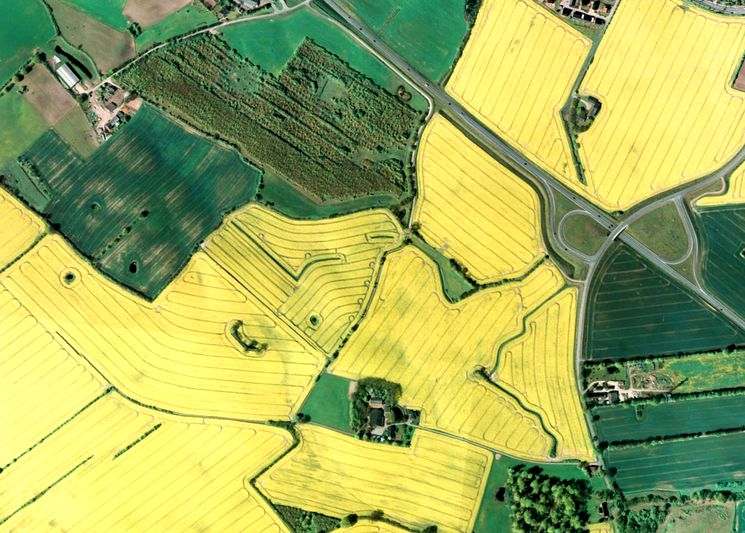 Как рассчитать количество соток на участке?