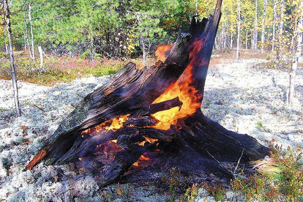 Как разжечь костер: виды костров и их предназначение, правила разведения