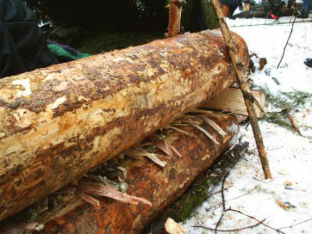 Как разжечь костер: виды костров и их предназначение, правила разведения