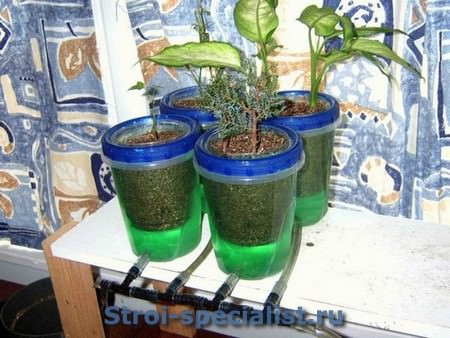 Как сделать гидропонную установку своими руками