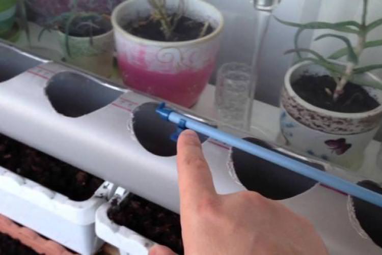 Как сделать гидропонную установку своими руками