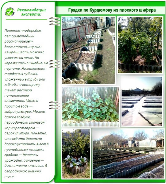Как сделать грядки по курдюмову?
