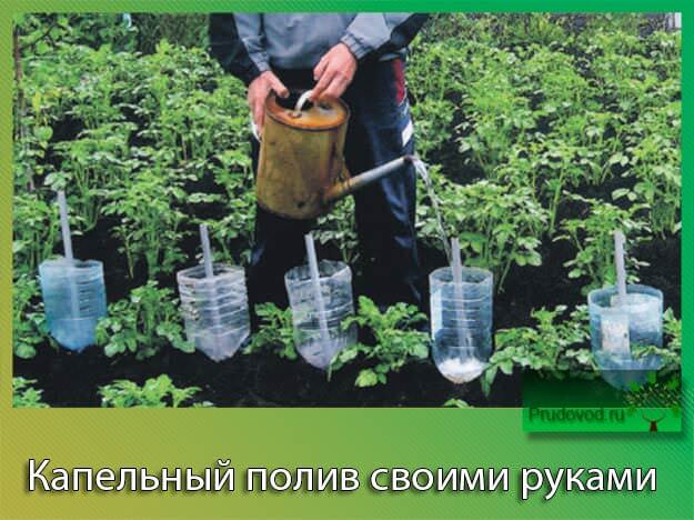 Как сделать капельный полив своими руками