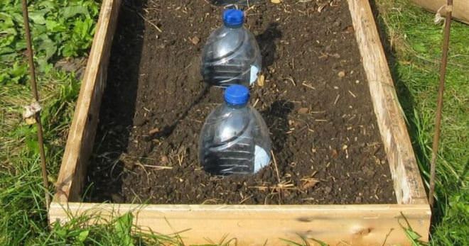 Как сделать капельный полив своими руками