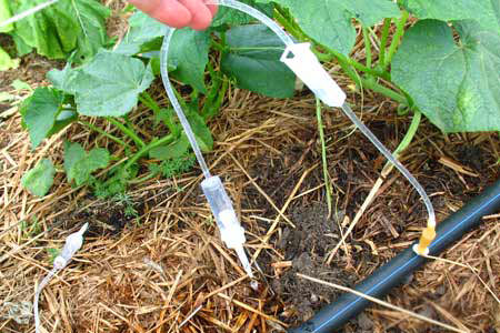 Как сделать капельный полив своими руками