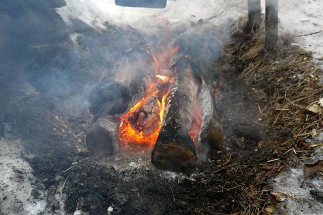 Как сделать лук для стрельбы: стрелы своими руками, из какого дерева, самодельный, мини, тетеву, охотничий, мощный