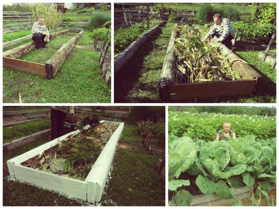 Как сделать на участке теплые грядки