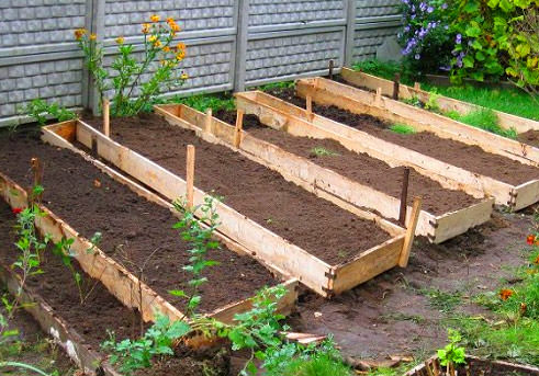 Как сделать на участке теплые грядки