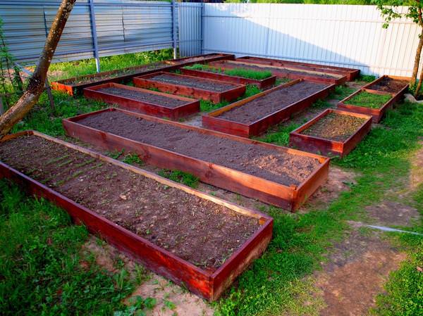 Как сделать на участке теплые грядки