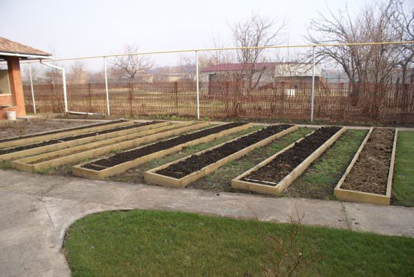 Как сделать на участке теплые грядки