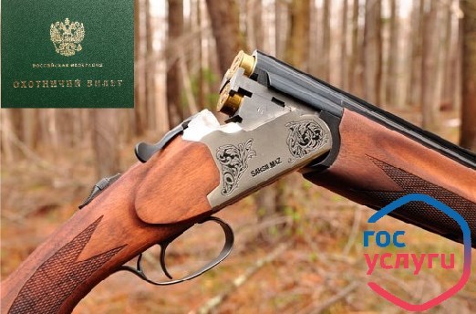 Как сделать охотничий билет единого федерального образца: где получить, сколько стоит, документы, через Госуслуги