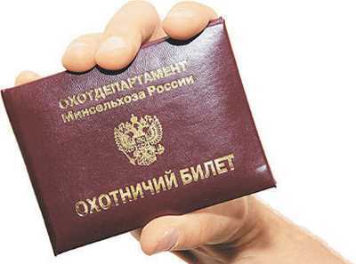 Как сделать охотничий билет единого федерального образца: где получить, сколько стоит, документы, через Госуслуги
