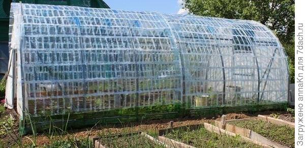Как сделать теплицу из пластиковых бутылок