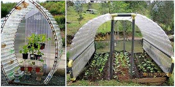 Как сделать теплицу из пластиковых бутылок