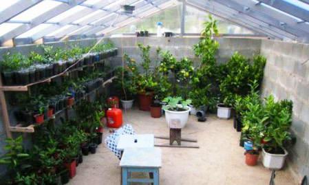 Как сделать теплицу термос своими руками