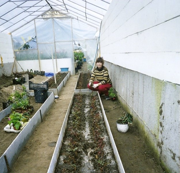 Как сделать теплицу термос своими руками