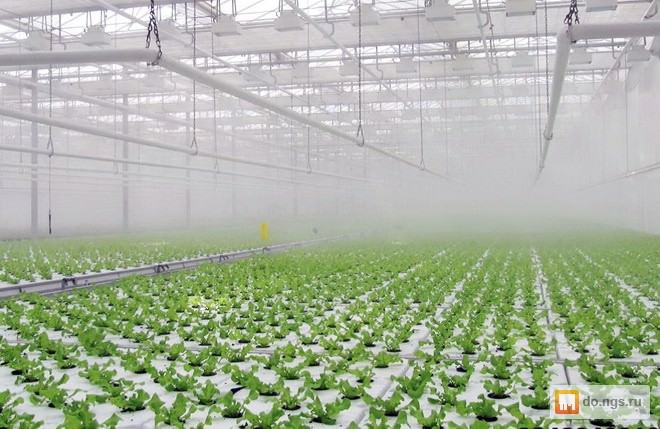 Как сделать туманообразователь для теплиц своими руками?