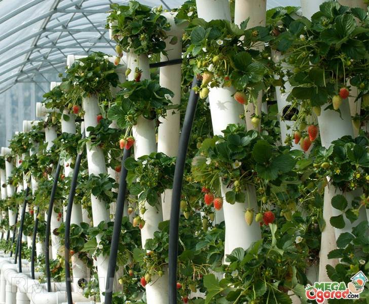 Как сделать вертикальную грядку для клубники