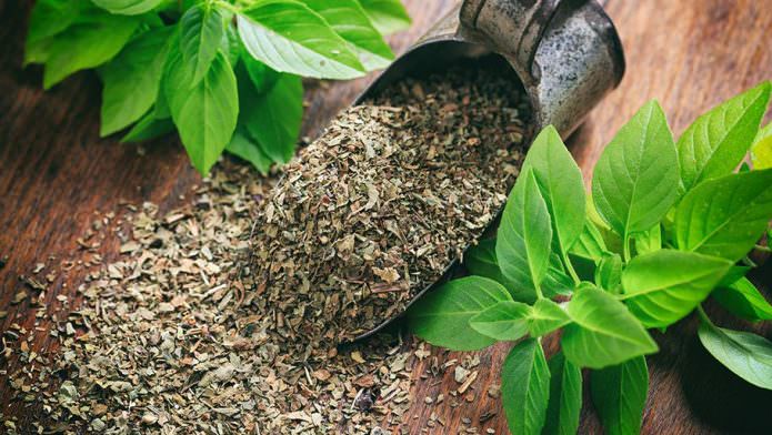 Как сохранить базилик на зиму с наименьшими потерями аромата: 3 способа