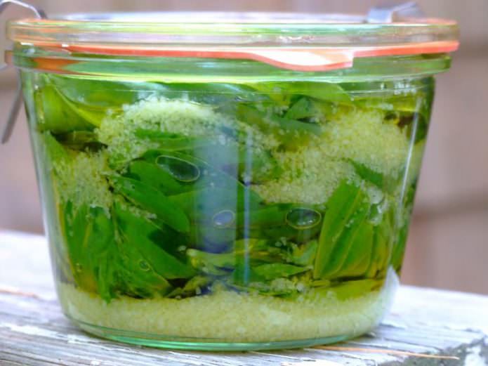 Как сохранить базилик на зиму с наименьшими потерями аромата: 3 способа