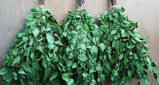 Как сушить веники для бани: заготовка своими руками – всё о банях