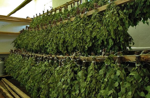 Как сушить веники для бани: заготовка своими руками – всё о банях