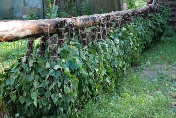 Как сушить веники для бани: заготовка своими руками – всё о банях