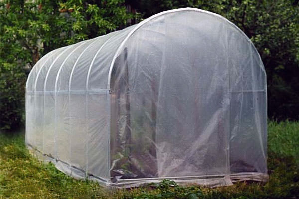 Как своими руками надежно покрыть простую теплицу пленкой?