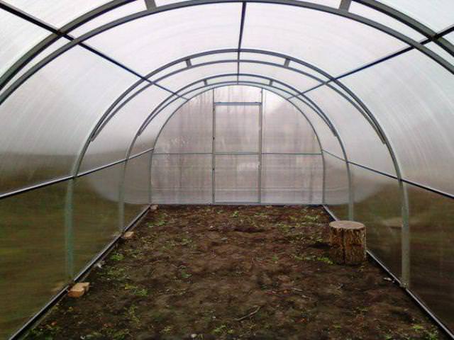 Как усилить теплицу: способы и особенности