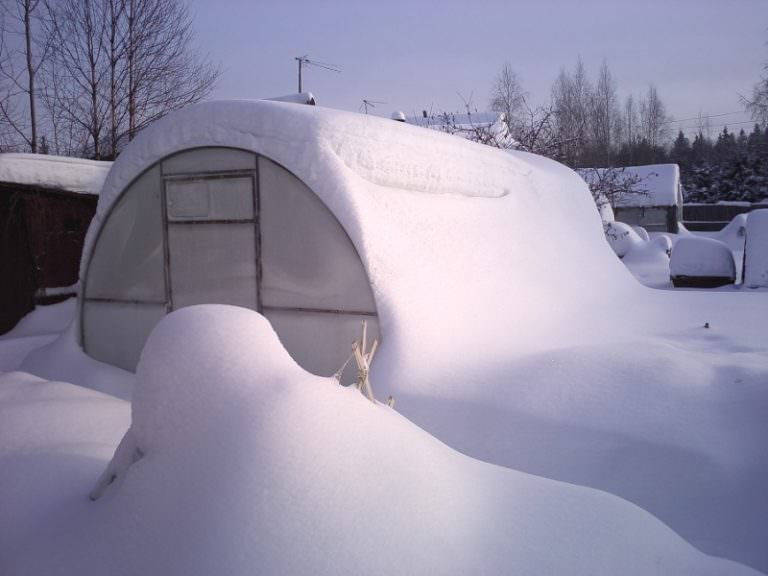 Как устроить зимовку пчел в теплице из поликарбоната
