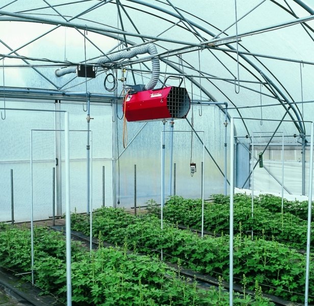 Как выбрать котел для теплиц: советы опытных фермеров