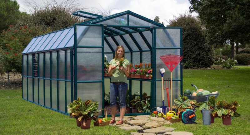 Как выбрать теплицу из поликарбоната