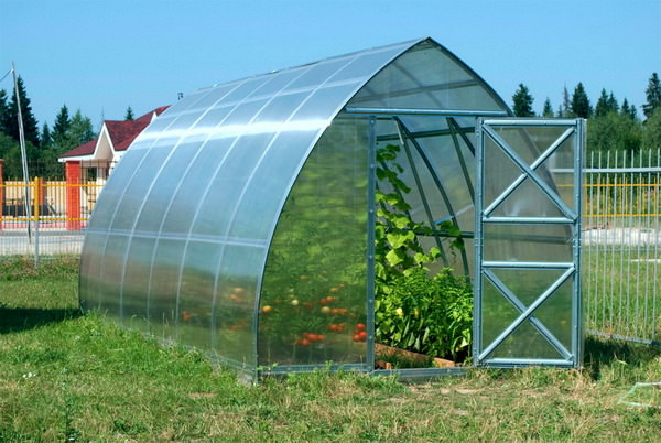Как выбрать теплицу из поликарбоната