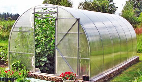 Как выполнить установку теплицы на даче