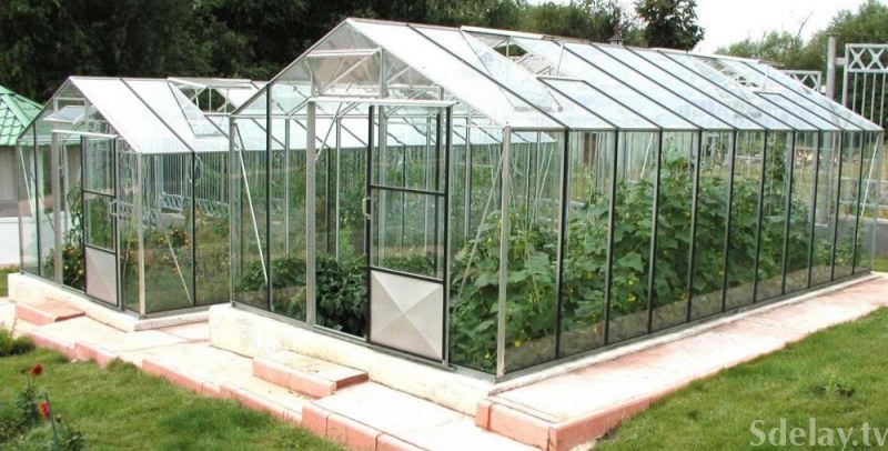 Как выполнить установку теплицы на даче