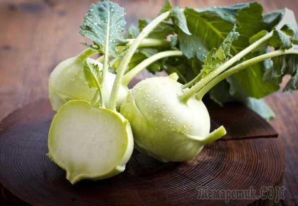 Как вырастить кольраби: правильная посадка и уход в открытом грунте